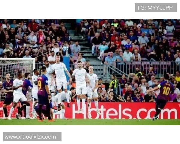 广州排球队的拼搏历程与荣耀时刻全景纪实