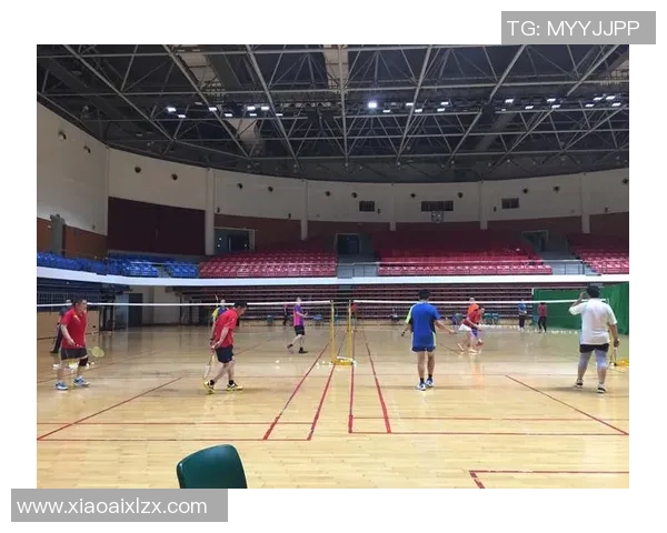 杭州羽毛球队比赛经验分析与表现评估探讨