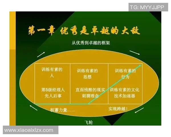 武汉羽毛球队在锦标赛中的卓越表现与力量分析