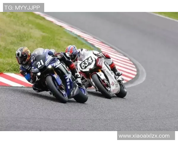 上海足球队在耐力排行榜中荣获第二名展现强大实力与潜力