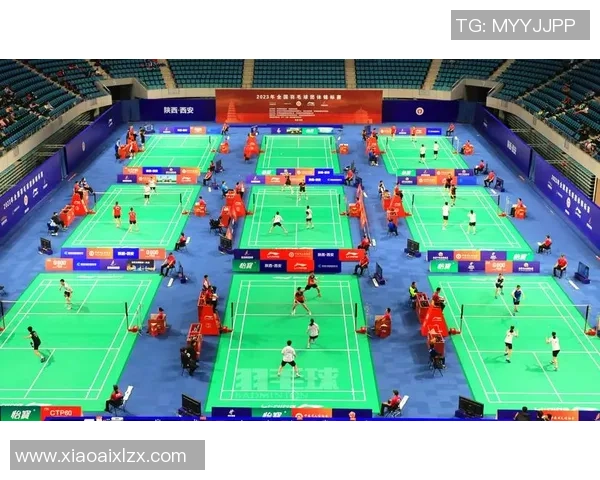 西安羽毛球队在锦标赛中的技术表现分析与点评